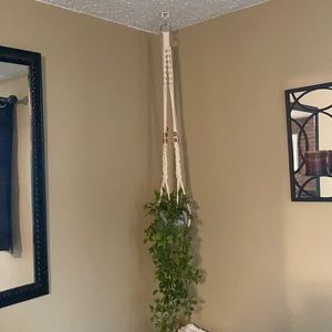 Hanging plant holder